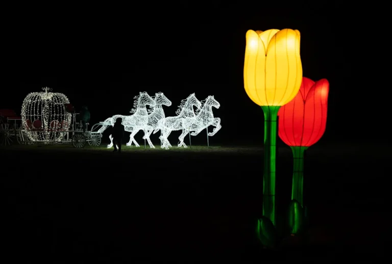 Winter Wonderland at Holland Ridge Farms