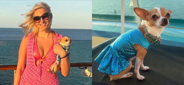 TikTok’s Cutest Traveling Duo, Bruiser And Elle Woods, Just Took Over A Cruise Ship
