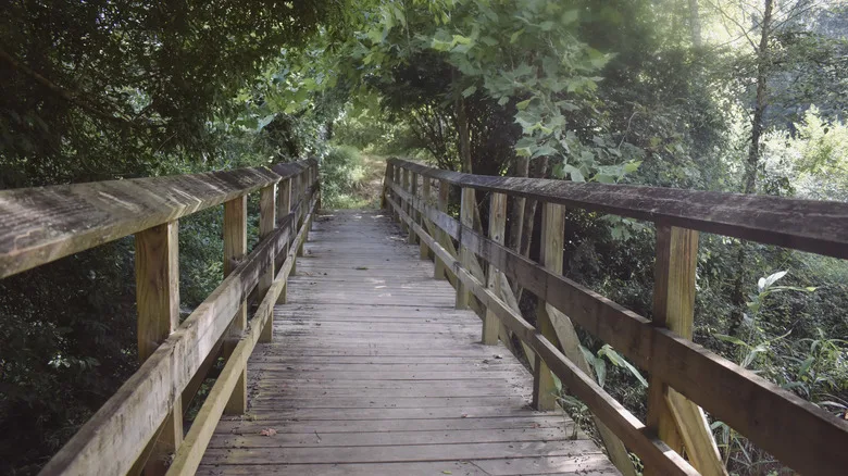 Wooden bridge on the riverside in Newnan, Georgia