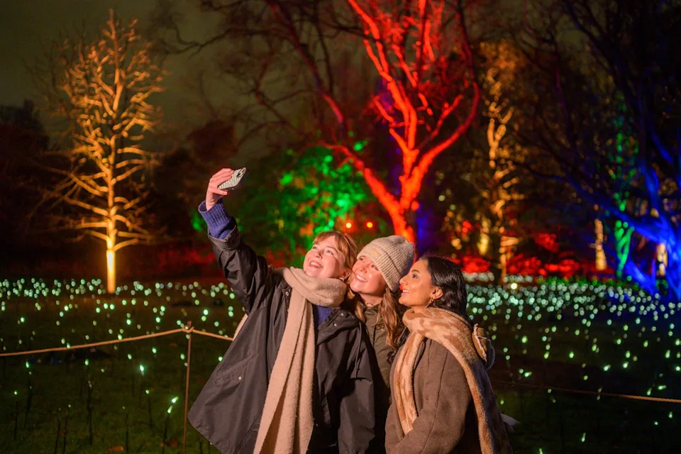 See the botanics lit up in Edinburgh this festive season (Phil Wilkinson)
