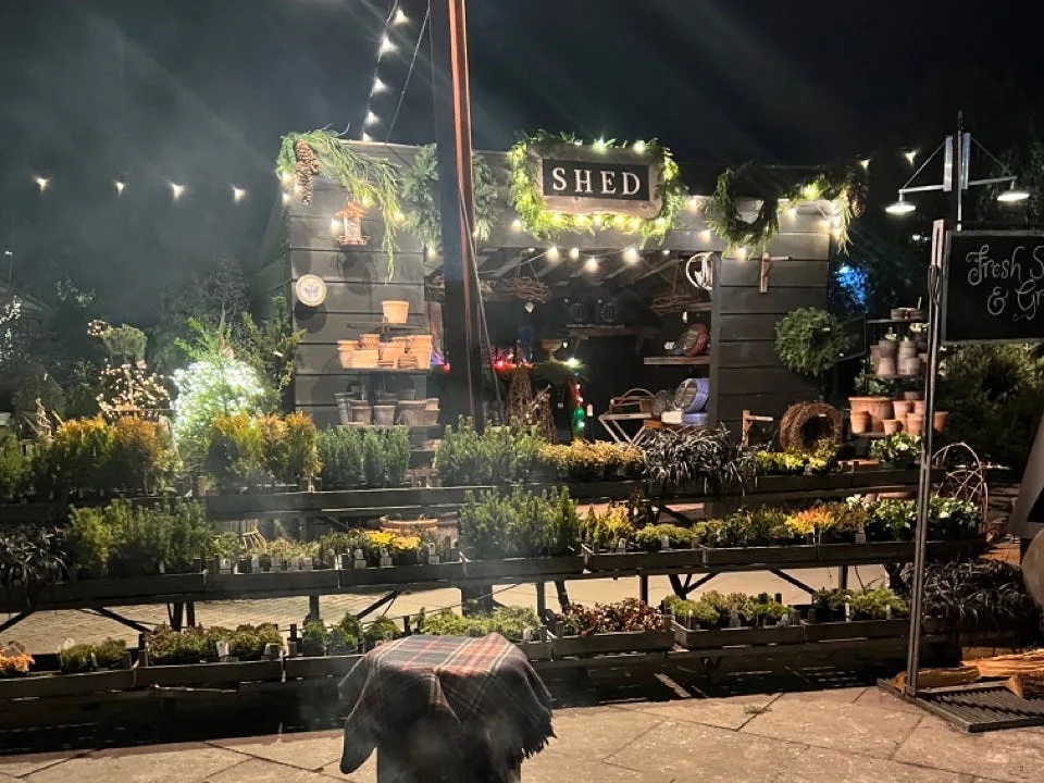 Exterior of Terrain at night, plants and lights on display