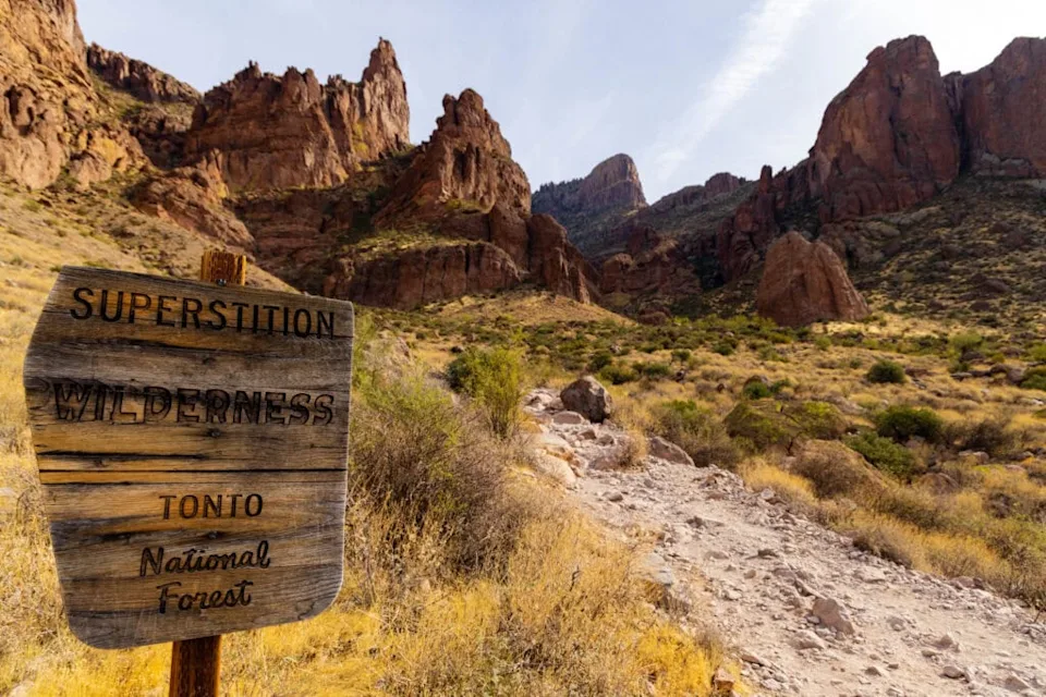 a photo of the superstition wilderness sign near lost dutchman state park 