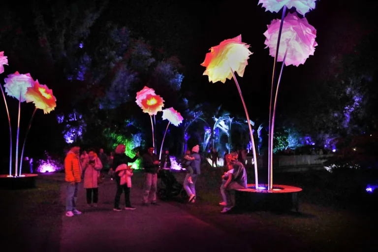 This rare S.F. seasonal light show has become a huge surprise hit