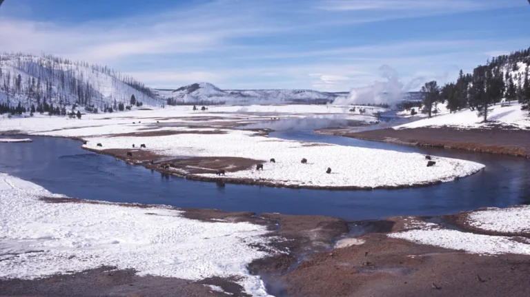 The Essential Item Yellowstone National Park Wants All Visitors To Bring On Winter Trips