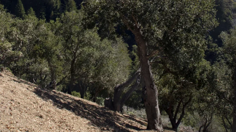 10 Scenic Restaurants In The US Where The Food Comes Secondary To The Views