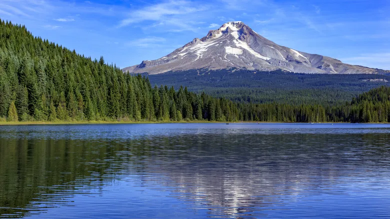A serene view of Mount Hood reflected in the calm waters of Trillium Lake