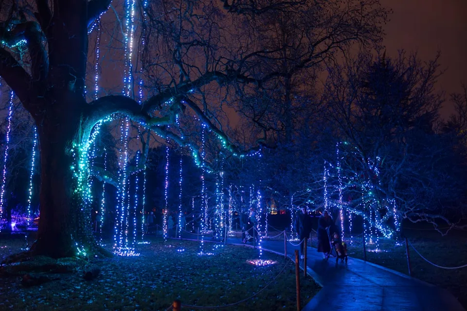 Cardiff’s winter illuminations has returned for a fifth time (Christmas at Bute Park)