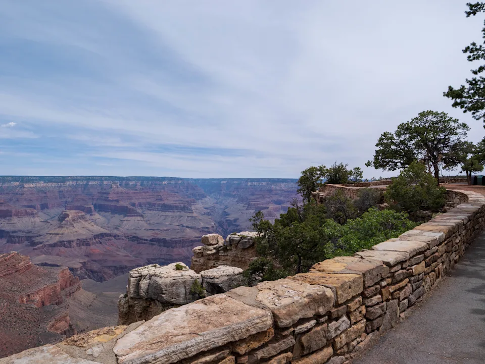 A view of the Grand Canyon