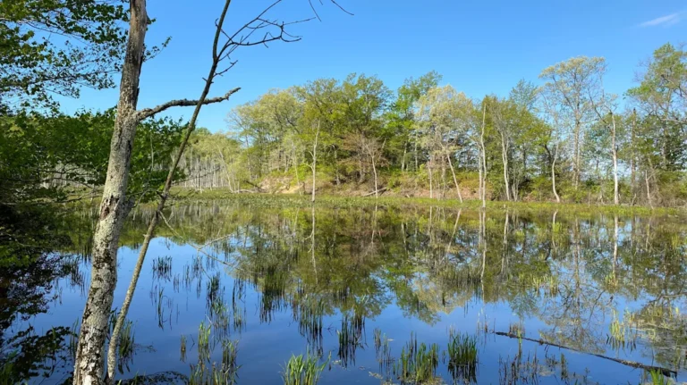 Nestled On The Potomac River Is A Virginia Peninsula Town That Is A Gateway To Outdoor Thrills Deep In Nature