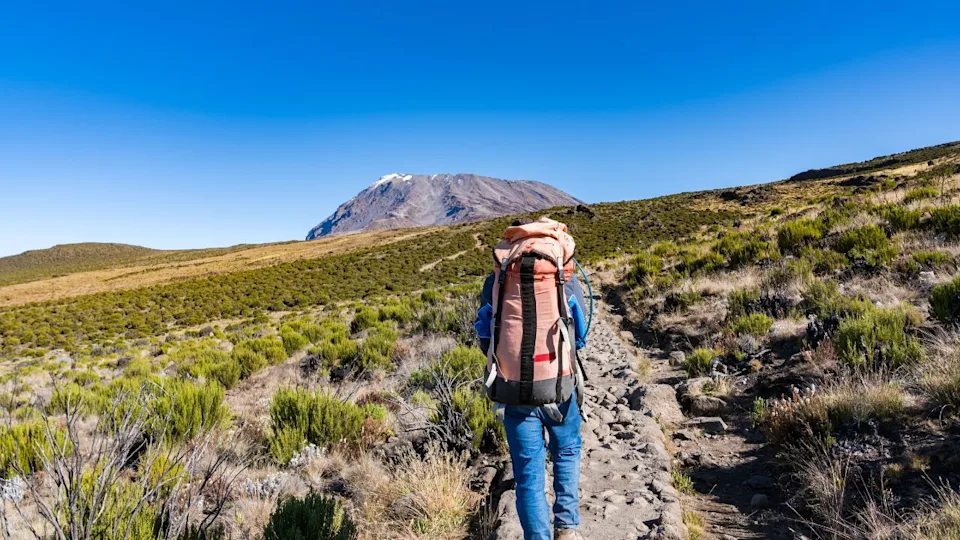 trekking route in Mt Kilimanjaro, Tanzania