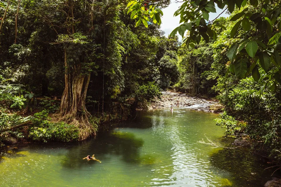 Taylor McIntyre/Travel + Leisure A person swimming in El Yunque National Park.