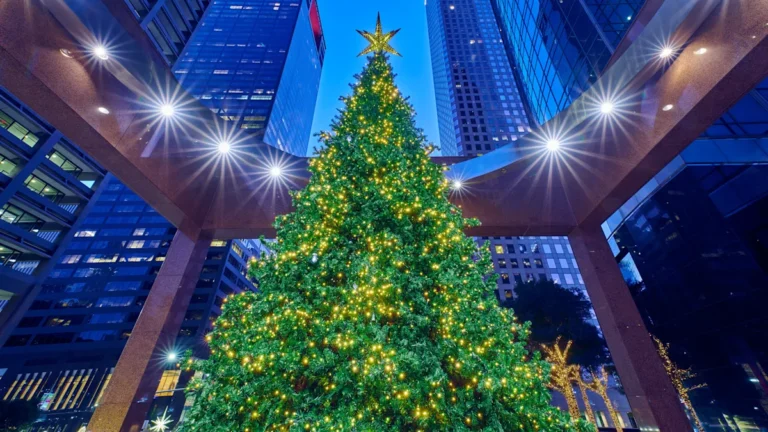 5 Houston, Texas, Neighborhoods That Go All-Out With Destination-Worthy Holiday Light Displays