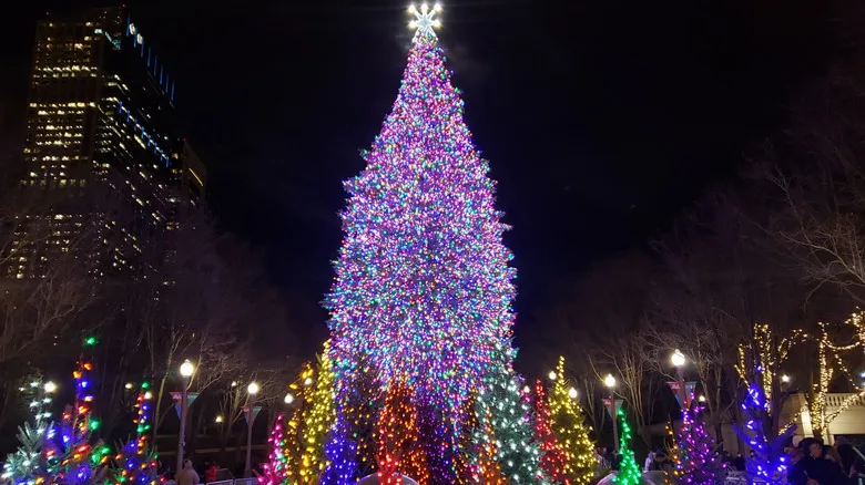 A lit Christmas tree in Chicago at night