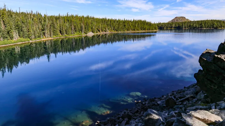Waldo Lake surrounded by pine forest in Oregon