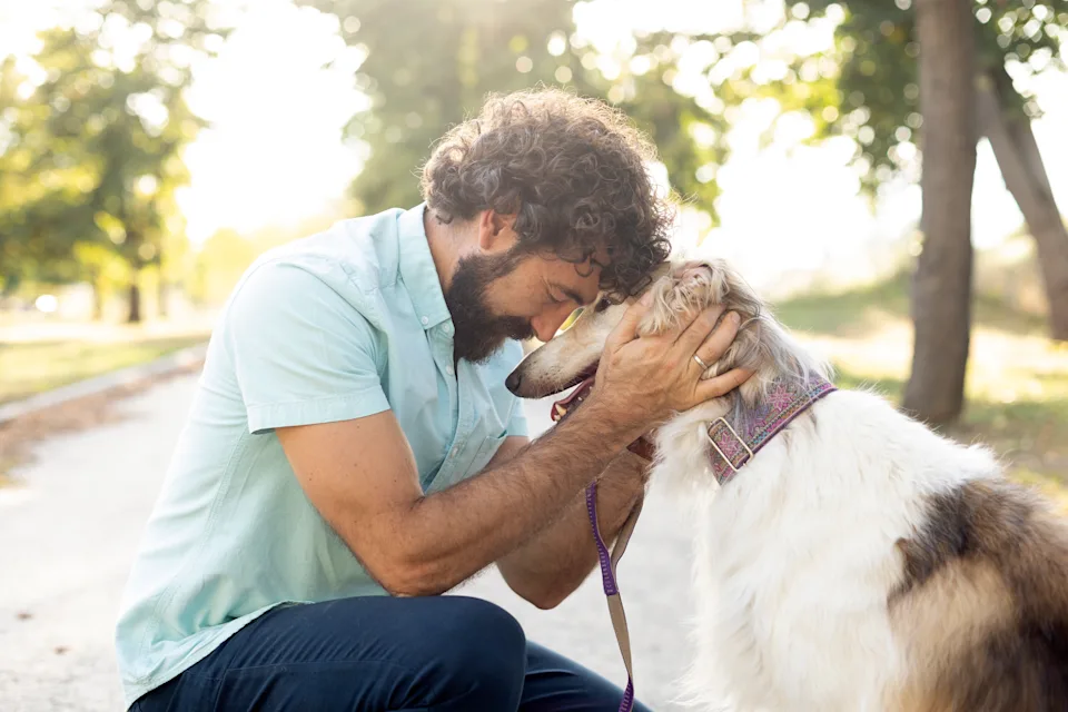 Man with his pet Borzoi (Russian hunting sighthound) dog in a park. About 45 years old, Caucasian male.