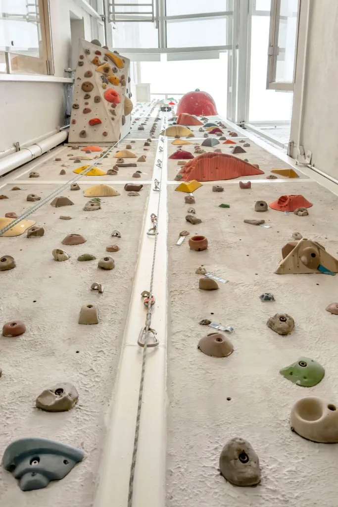 This is considered the largest climbing rock wall in a private residence in the city. LuxQue Media – Mike Aghachi