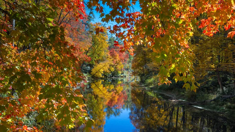 Autumn foliage trees reflected in Linville River along the Erwins View Trail to Linville Falls on Blue Ridge Parkway in Blue Ridge Mountains, western North Carolina