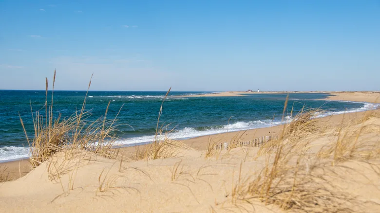 View of Herring Cove Beach Looking Towards Race Point