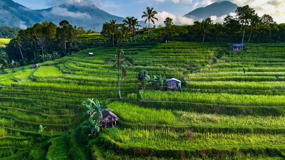 Landscape view of Jatiluwih Rice Terraces in Penebel District, Tabanan Regency, Bali, Indonesia. UNESCO's world's cultural heritage site