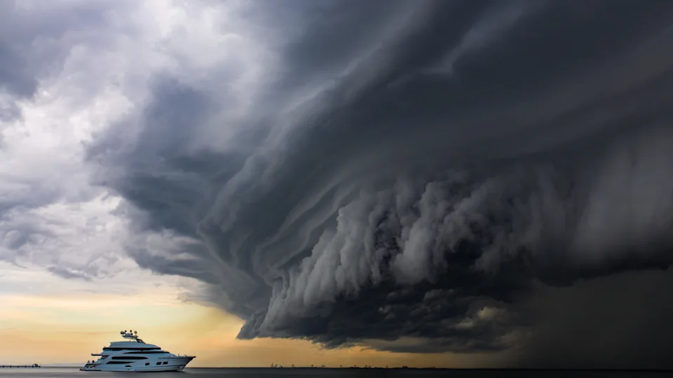 Photo by petesphotography on Getty Images