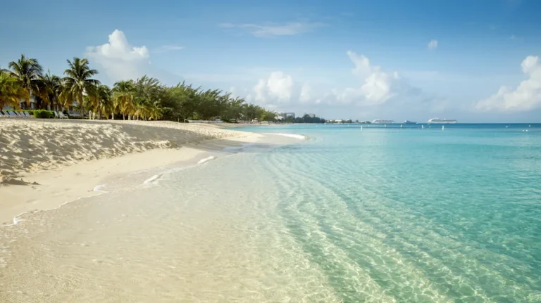 Why Some Tourists May Not Enjoy This Iconic Grand Cayman Activity, According To Reviews