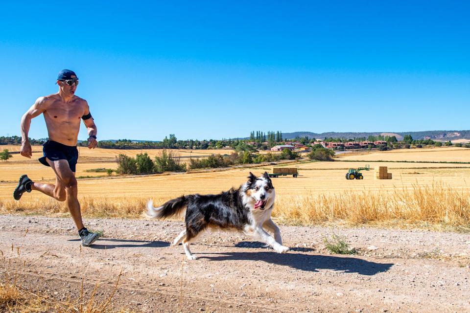 a young man trainning with his border collie pet