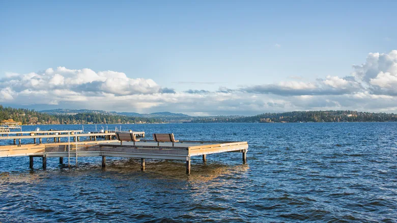 Dock with benches at Medina Beach Park on Lake Washington on summer day.