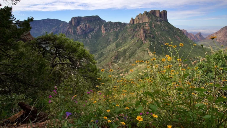 Hikers Love This Trail In Big Bend National Park For A Fun Adventure With Amazing Views