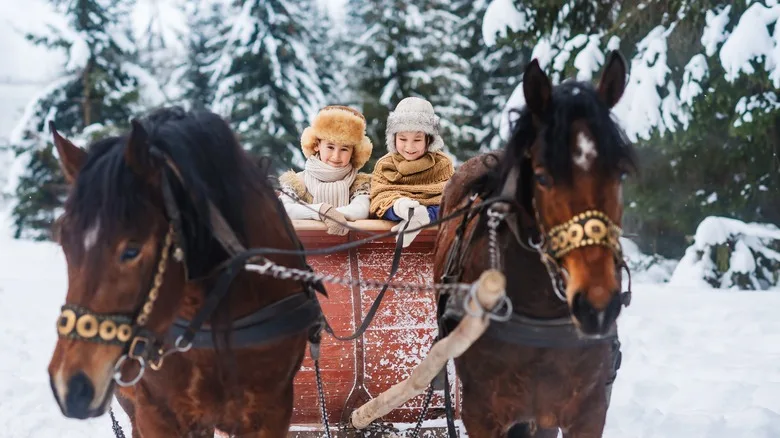two children riding in a horse drawn sleigh
