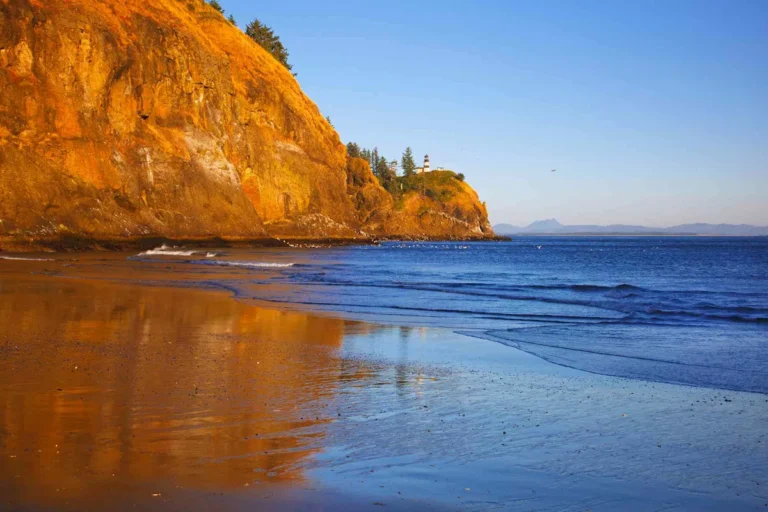 This Underrated U.S. Coastline Has a Rain Forest, 6 State Parks, and the Longest Drivable Beach in the U.S.
