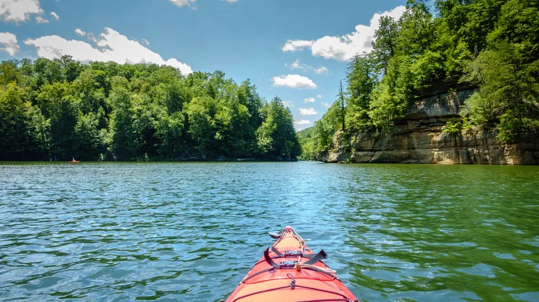 Grayson Lake from a kayak, with trees and clean water under a sunny sky