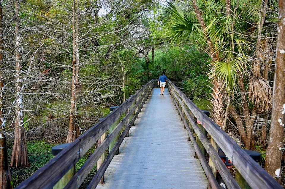 Courtesy of Fort Myers - Islands, Beaches & Neighborhoods