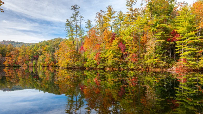 A calm body of water with colorful autumn trees reflected on the surface