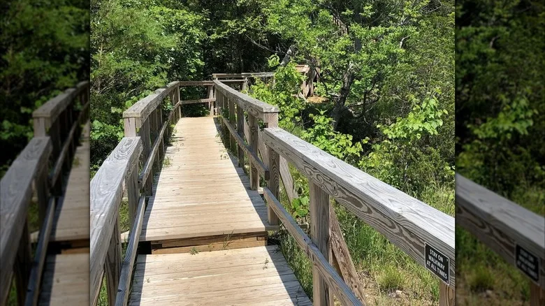 Photo of the walkway in Buzzardroost