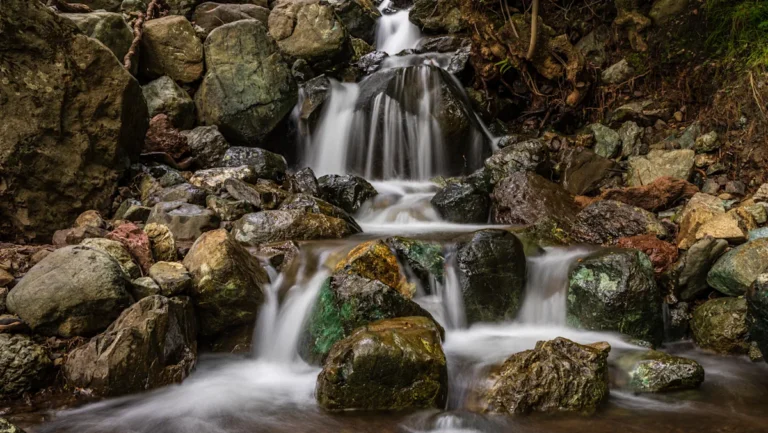 California’s Lofty Park Hidden In The Mayacamas Mountains Is Crisscrossed With Trails And Quiet Campsites