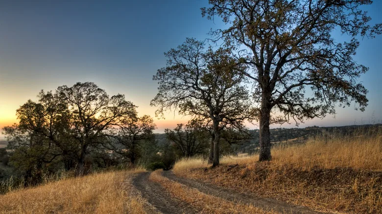 Rural ranch road in the mountains near Colusa, California