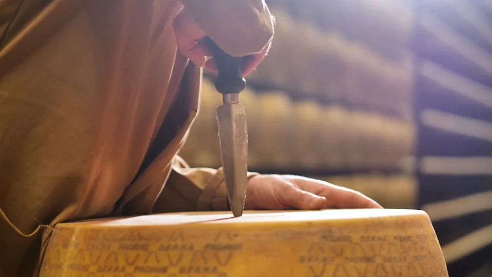 A cheesemaker controls the seasoning of the Parmesan cheese, which has to age for several months, opening a cheese form in half. The processing is done following the ancient Italian tradition.
