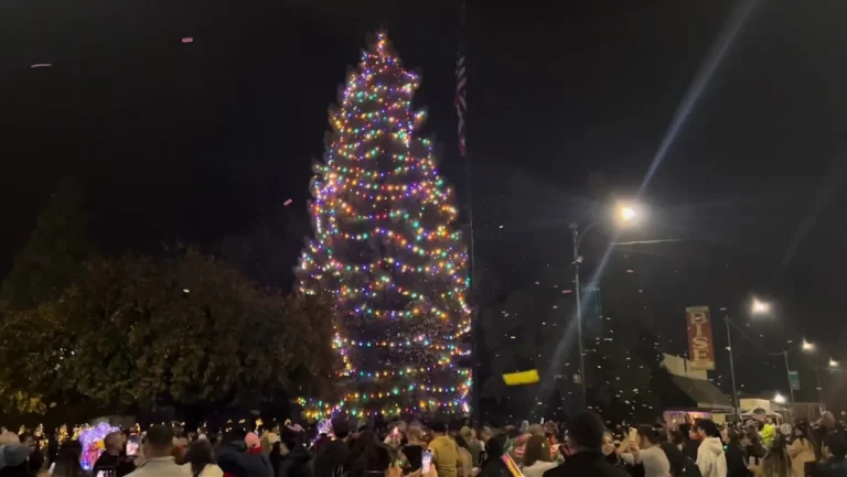 ‘The Nation’s Christmas Tree City’ Is A Breathtaking California Gateway To Sequoia Country