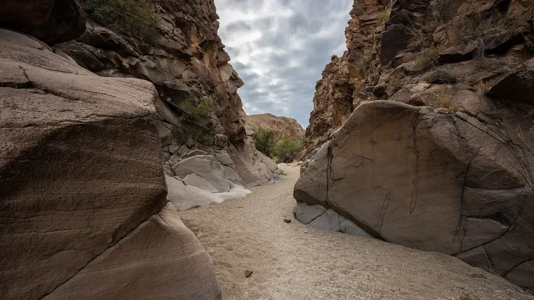 Wash Bends Through Canyon Toward Upper Burro Mesa Pouroff in Big Bend