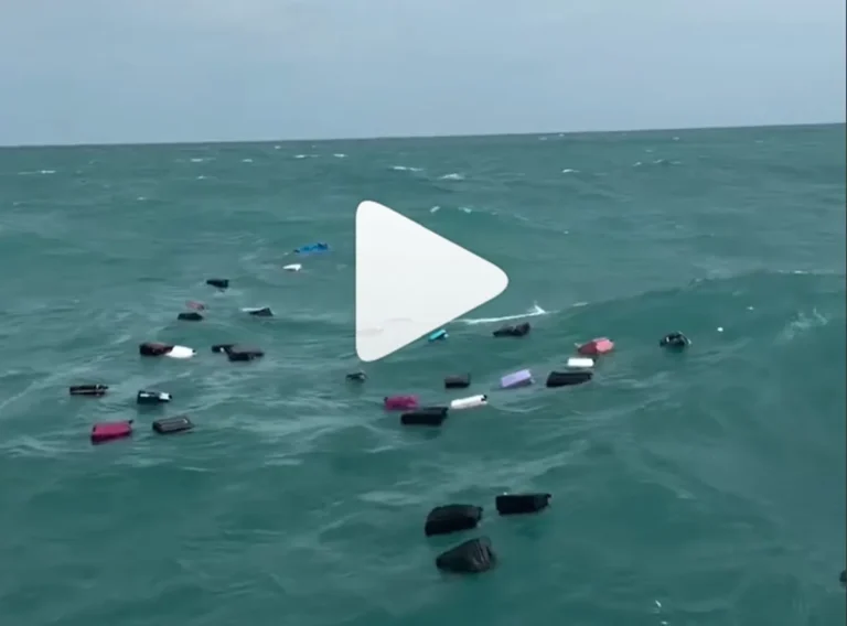 Passengers watch bags swept into the sea during a rough ferry ride: how to stay safe