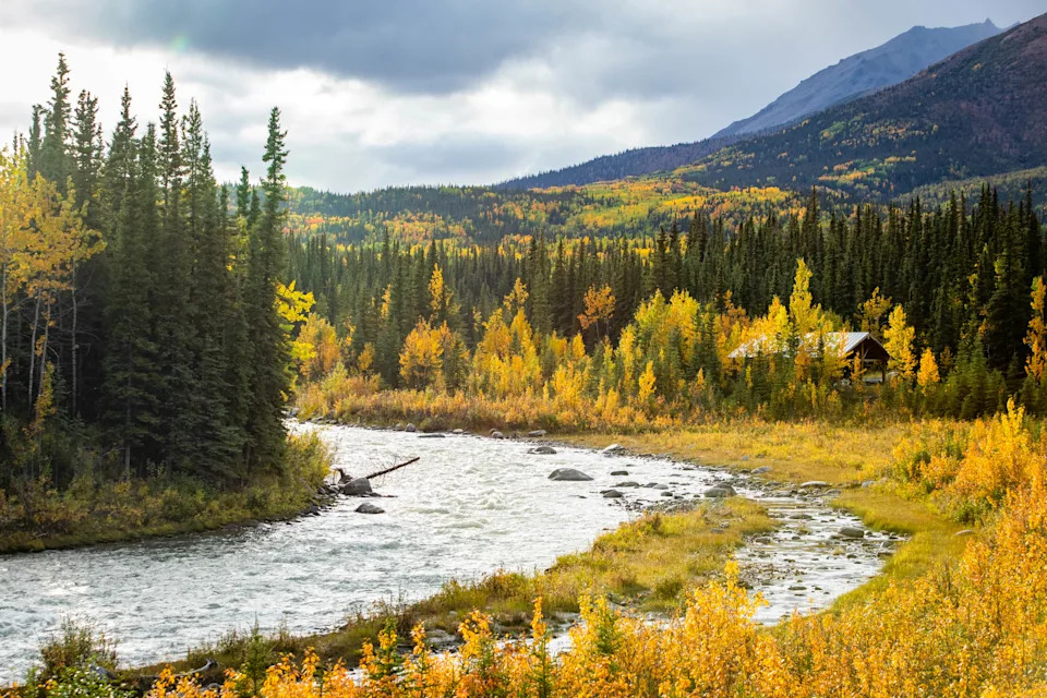 Scenic view of a house at Savage river in Denali national park at fall during sunset