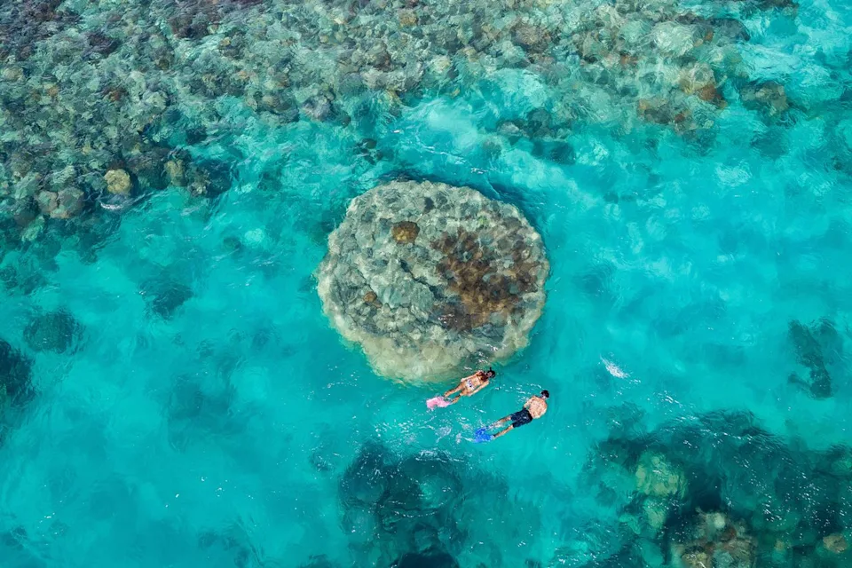 The Whitsundays A couple snorkeling in turquoise waters.