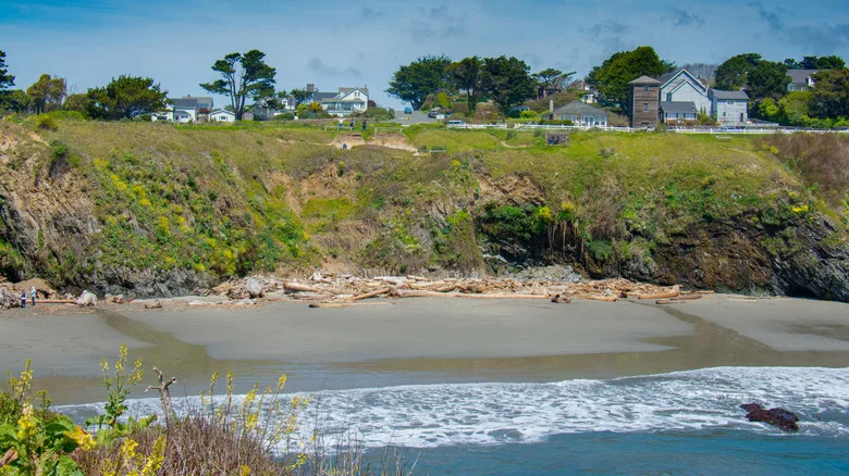 Beach at Mendocino Headlands State Park