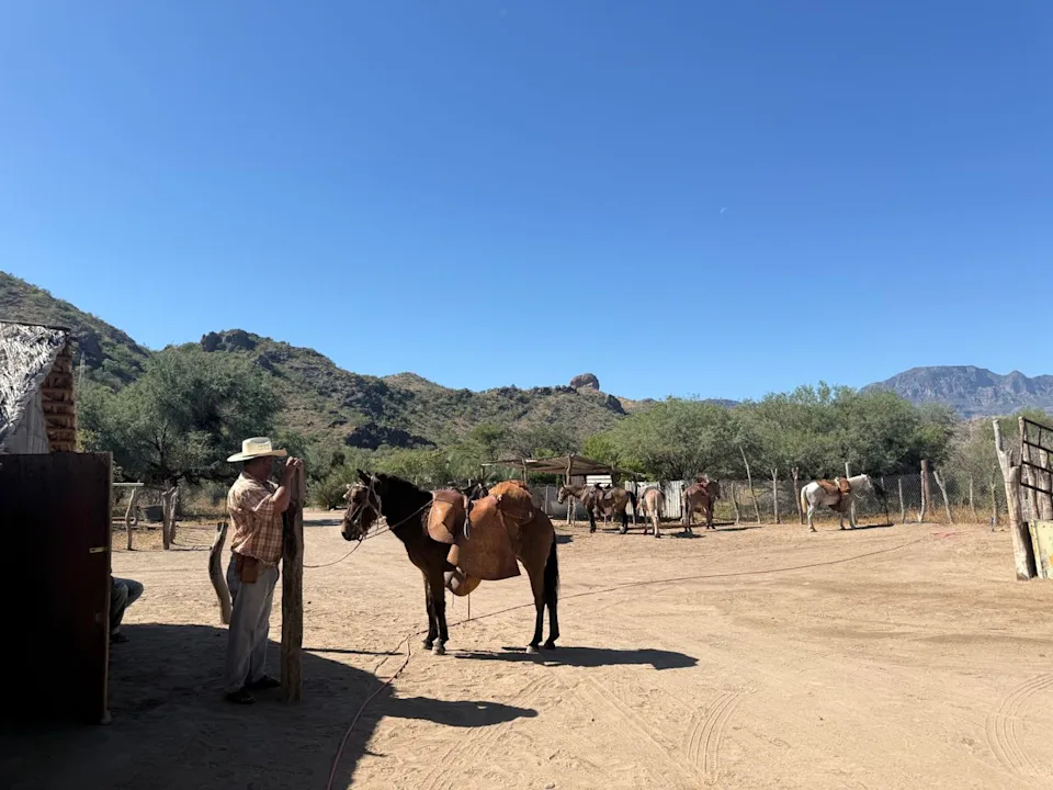 Annabelle Canela After horseback riding, our guide showed us different traditional Mexican saddles.