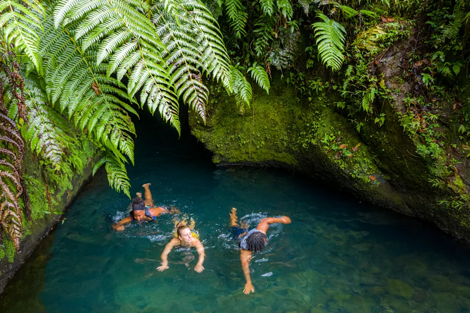 Three travelers swim near mossy rocks after seeing a secret waterfall at Titou Gorge in Dominica.