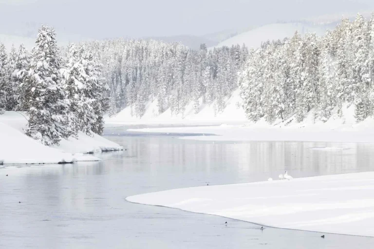 We Asked 5 Travel Experts the Best U.S. National Park for the Winter—and They All Said the Same Thing