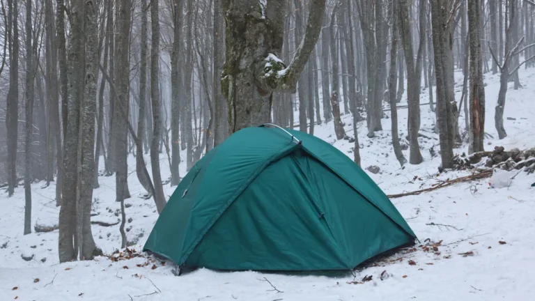 Michigan’s Most Beloved Winter-Friendly Campgrounds All Share One Crucial Feature