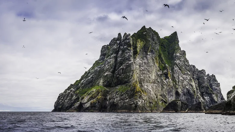 Bird flying over the rugged pointy mountains of St. Kilda World Heritage Site in Scotland