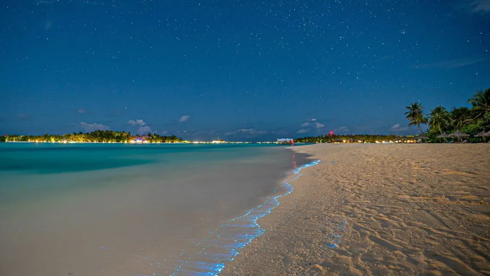 Bio luminescence. Illumination of plankton at Maldives. Many bright particles at the beach. Glowing beach
