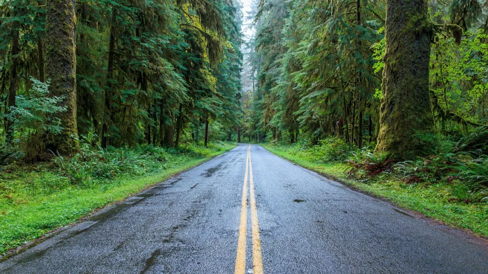 Olympic Peninsula Loop, Washington